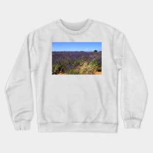 Lavander in Provence Crewneck Sweatshirt